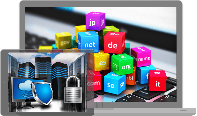 Hosting & Maintenance