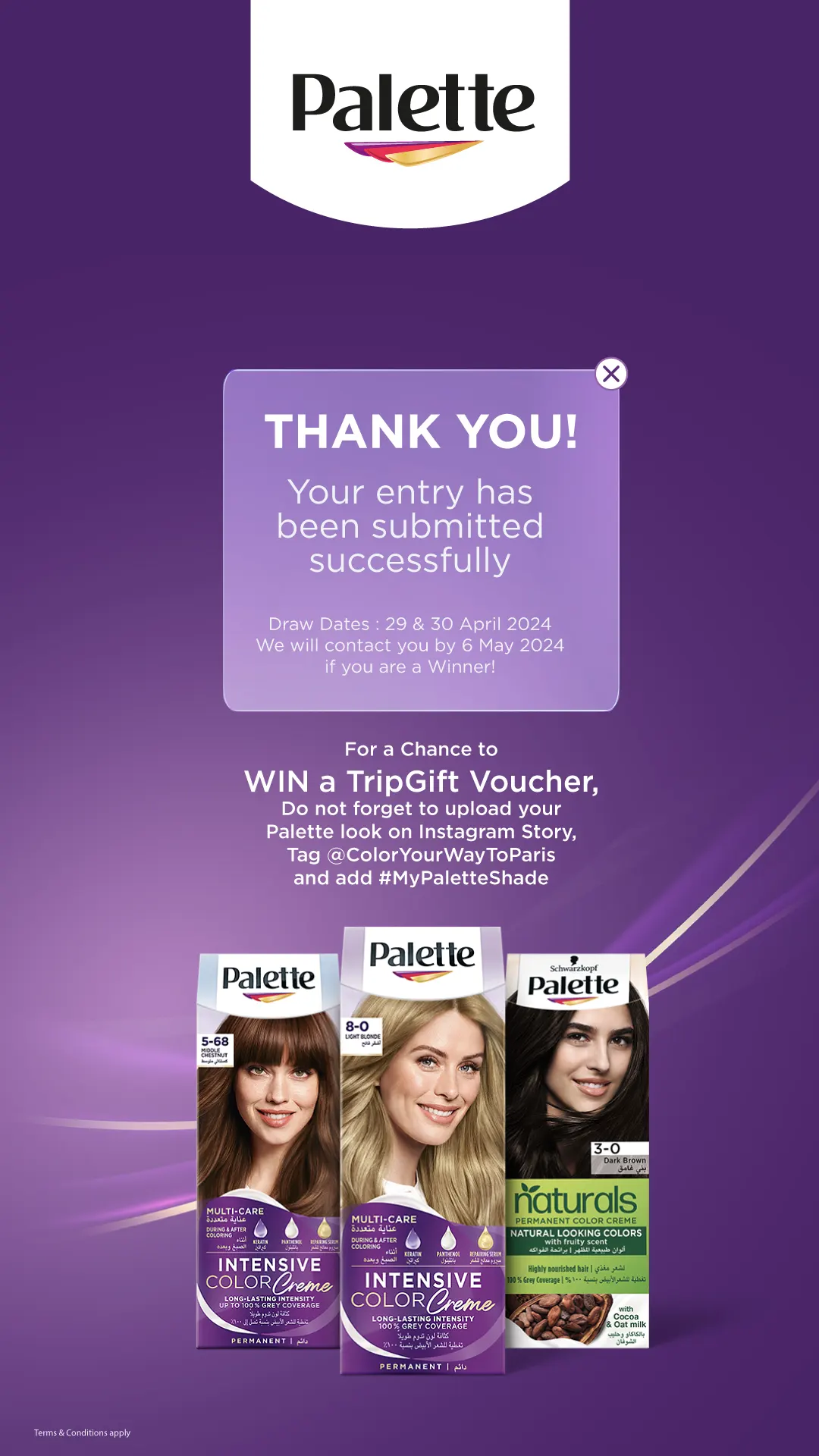 Palette Try It, Share It, Win It – GCC AR Promotional Campaign screen 4