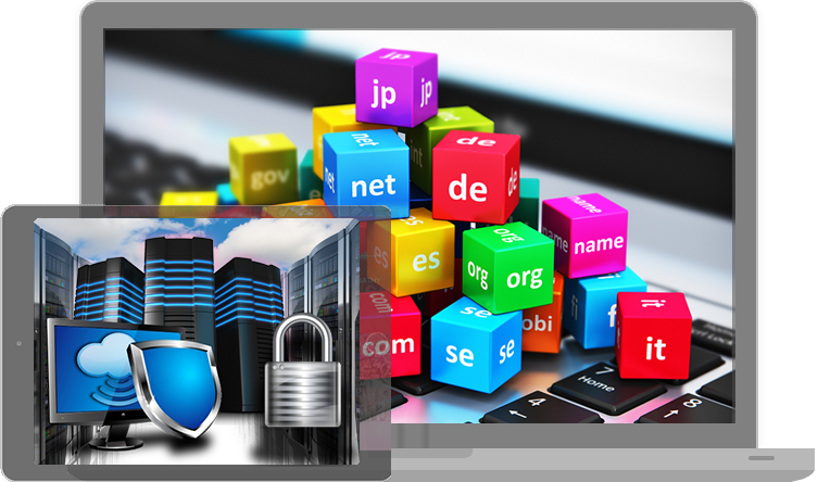 domain name and hosting