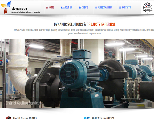 CMS website design for dynaspex