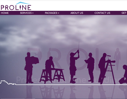 Wordpress Website design for Proline